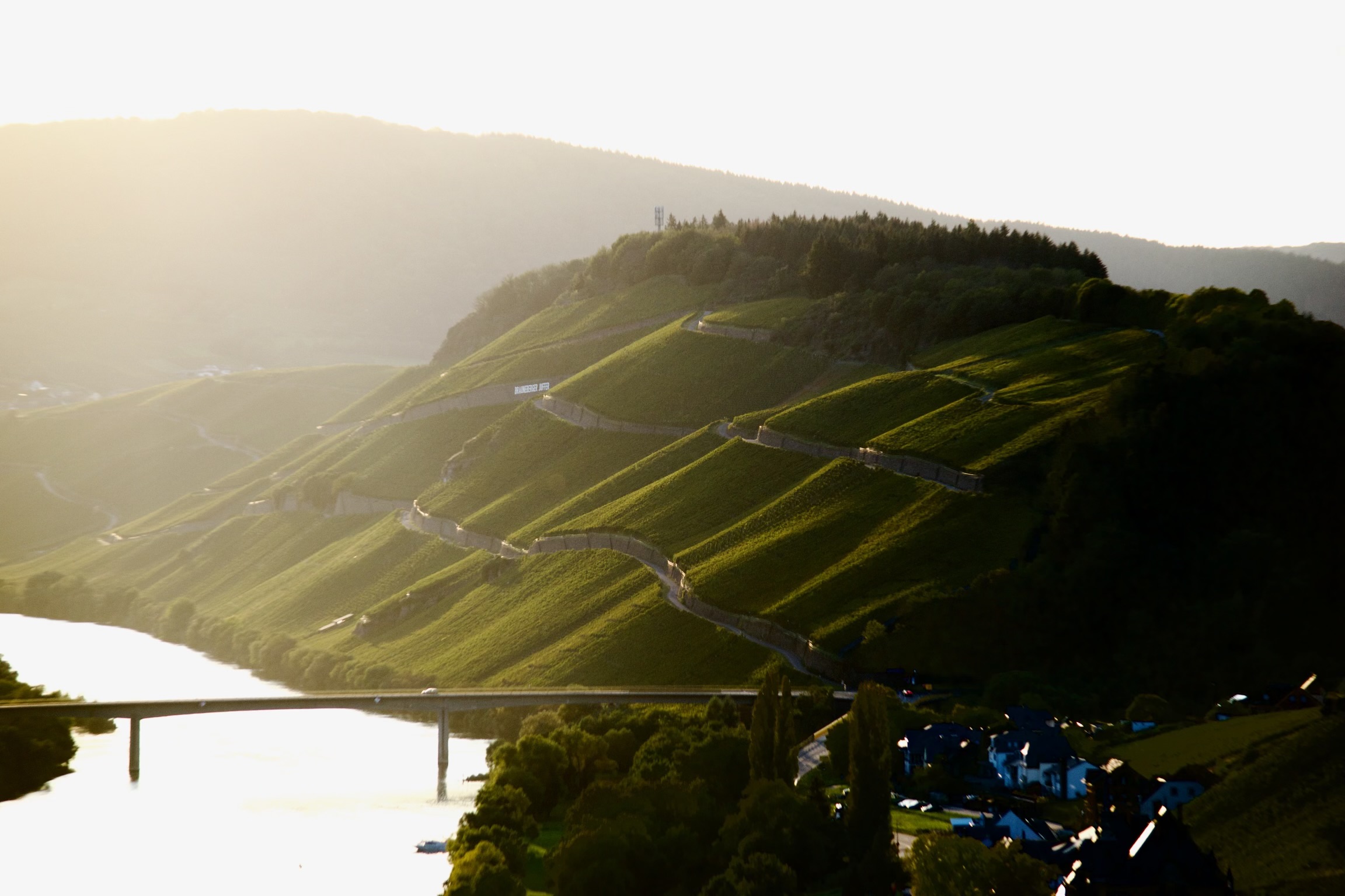 Weingut Axel Bauer Weingläser und Flasche im Abendlicht