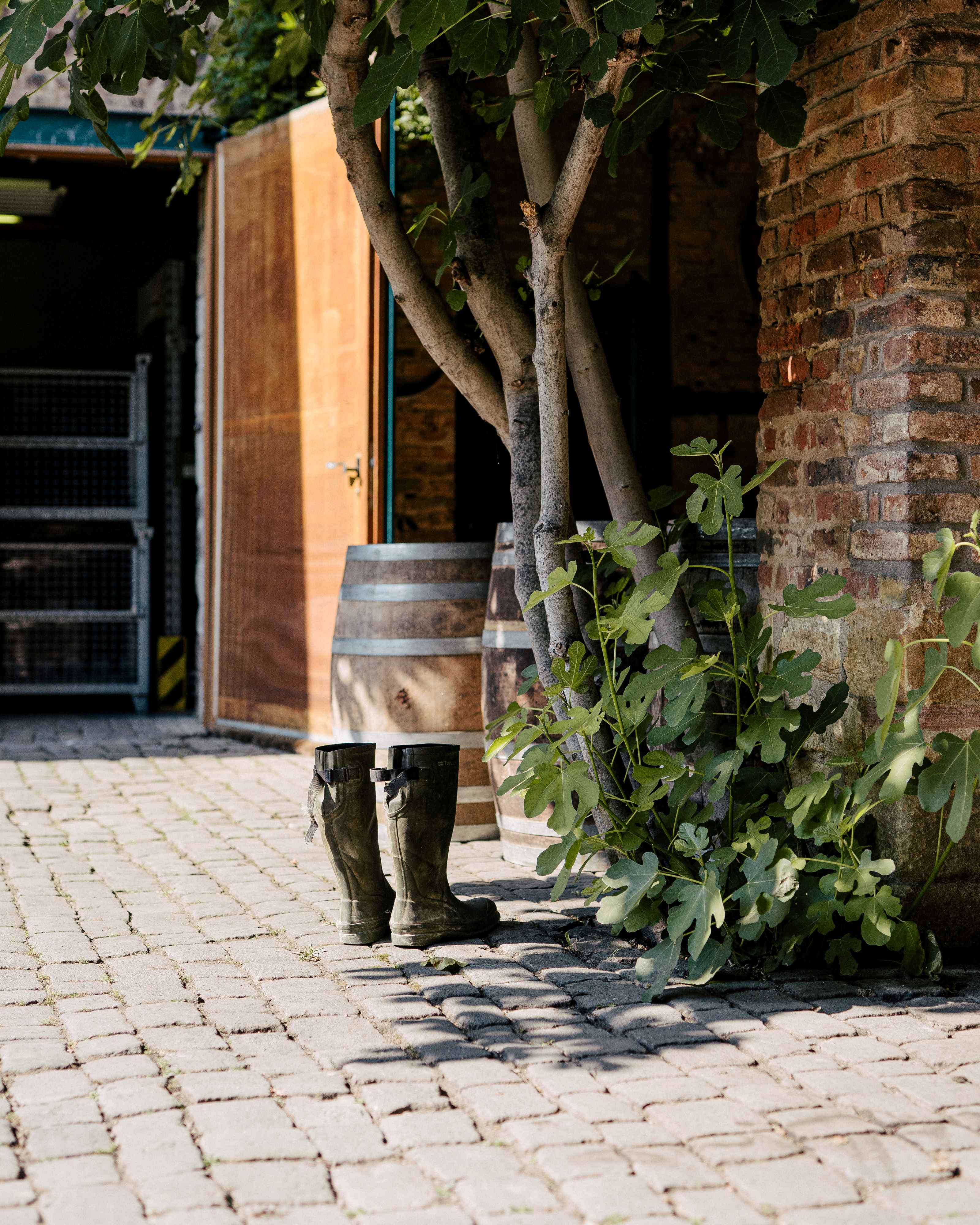 Weingut Johanninger X Weinreich Stiefel Weingut