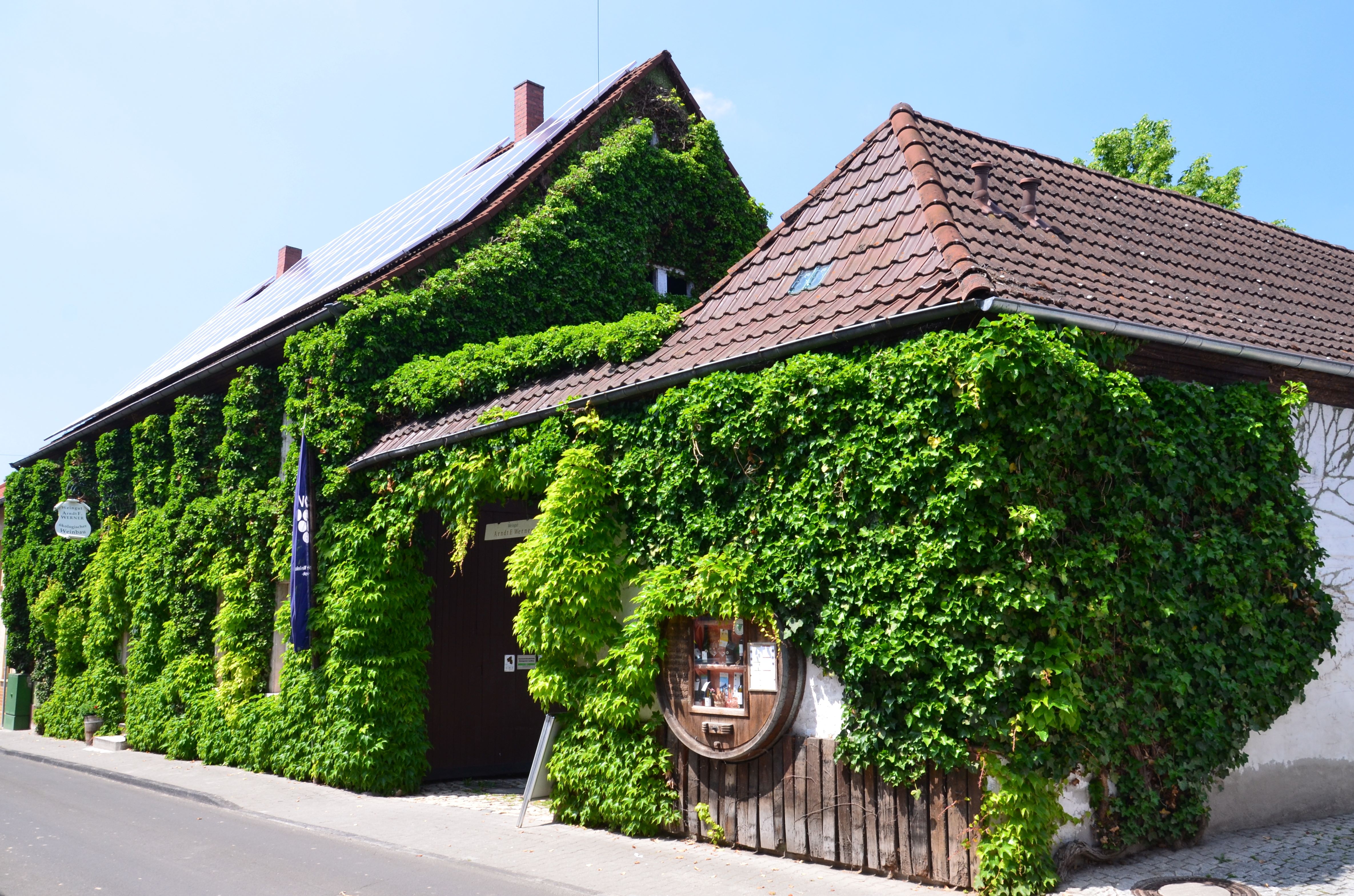Weingut Abel Bauer Weinfässer