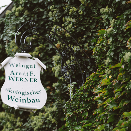 Weingut Axel Bauer Winzer rührt im Weinfass