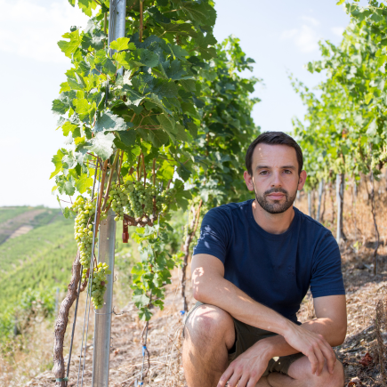 Weingut Abel Bauer Weinfässer