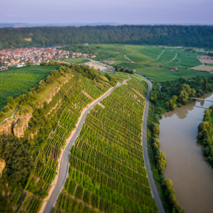 Weingut Axel Bauer Weingläser und Flasche im Abendlicht