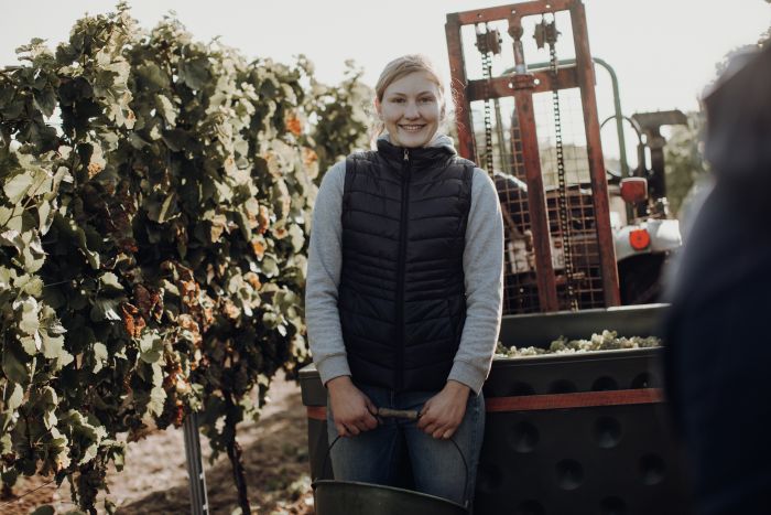 Weingut Berhard Martina Fazzi Feld Arbeit Trauben