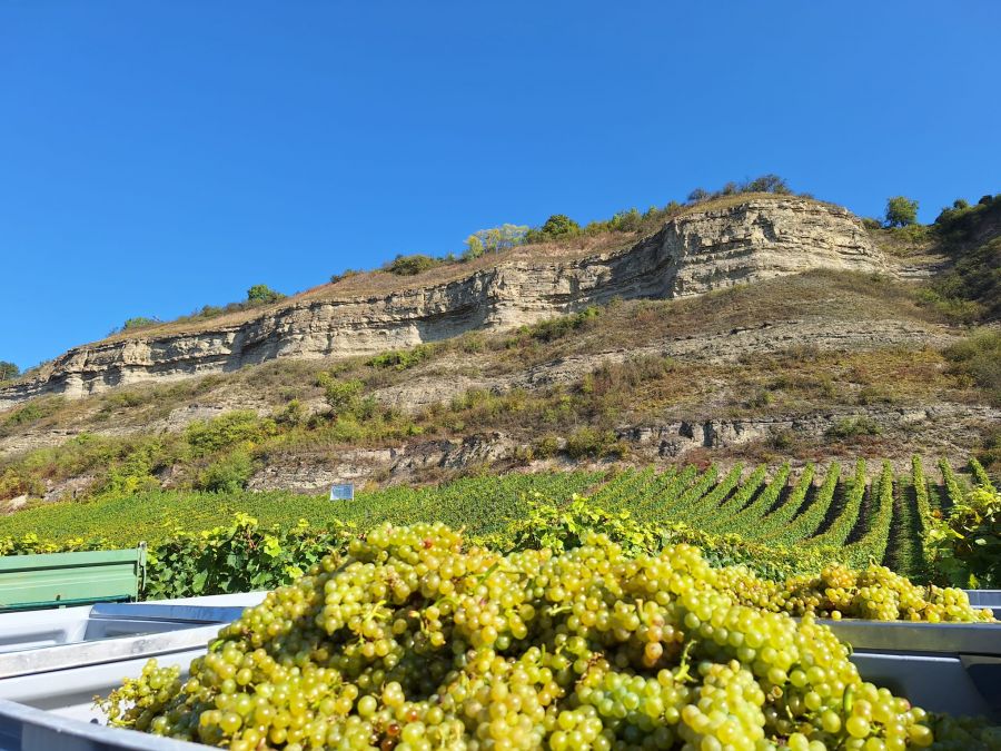 Weingut Christine Pröstler