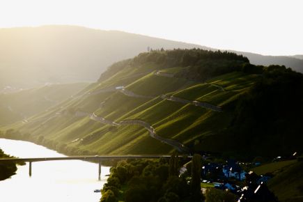 Weingut Axel Bauer Weingläser und Flasche im Abendlicht