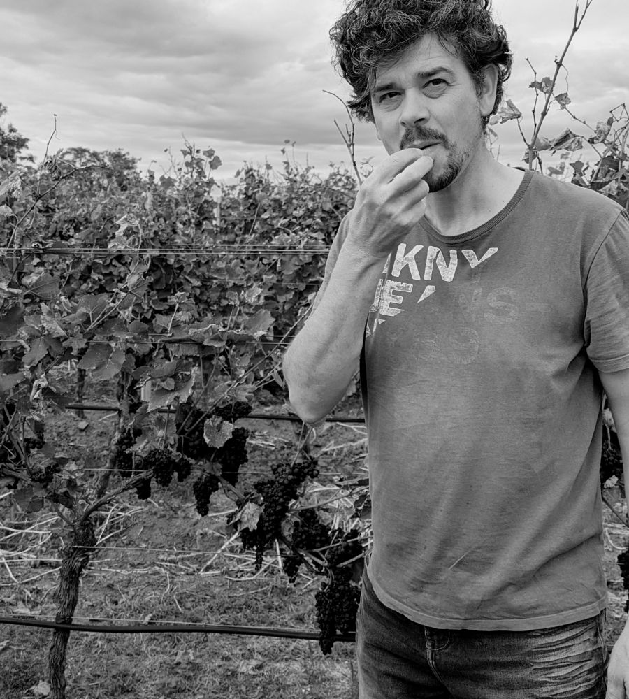 Weingut am Kaiserbaum