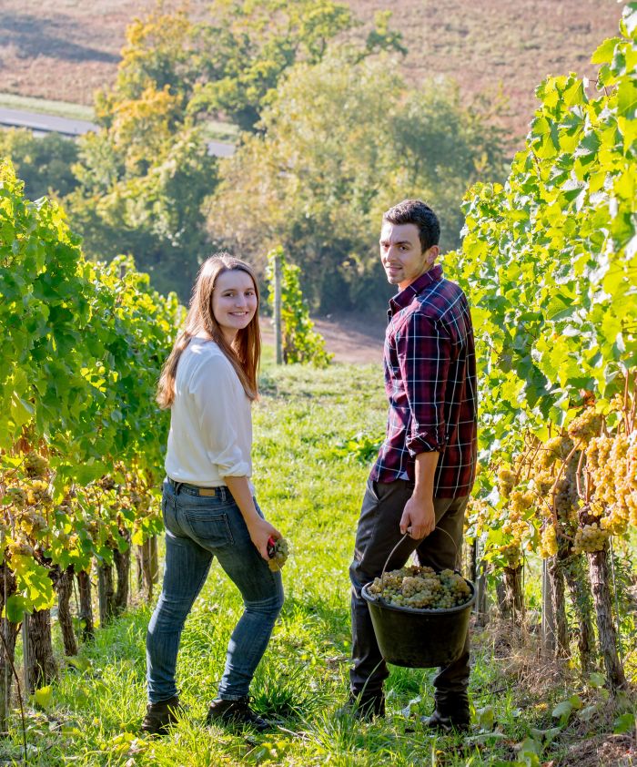 Weingut Axel Bauer zwei lachende Winzer