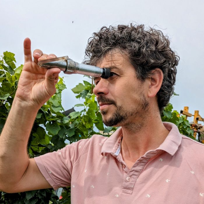 Weingut am Kaiserbaum