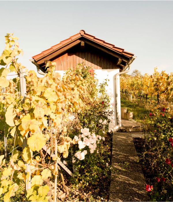 Weingut Kern