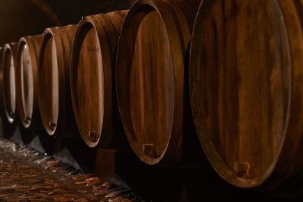 Weingut Axel Bauer zwei Winzer unterhalten sich