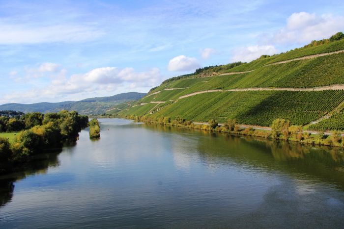 Weingut Abel Bauer Weinfässer