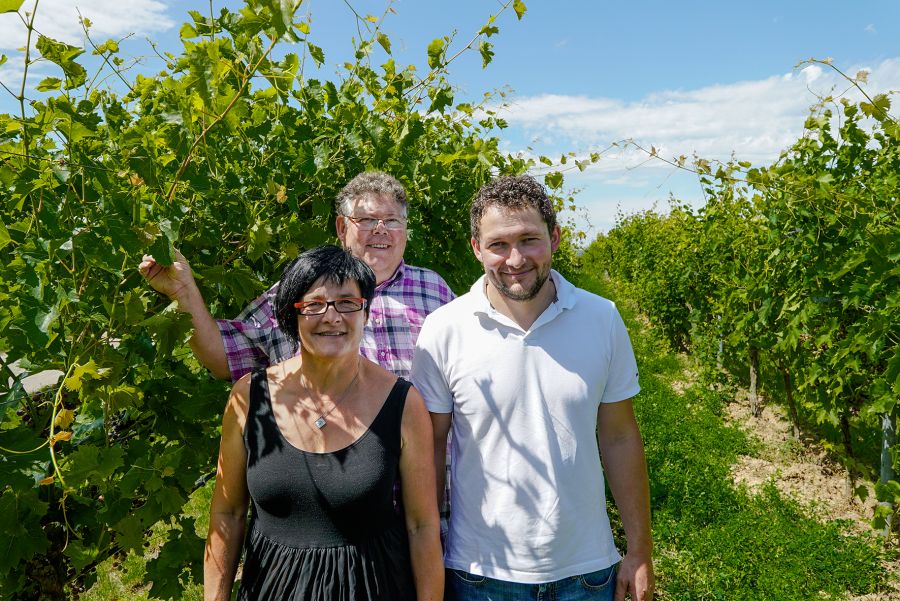 Weingut Weinreuter Ernte