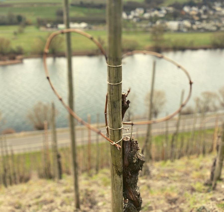 Weingut Axel Bauer Winzer rührt im Weinfass