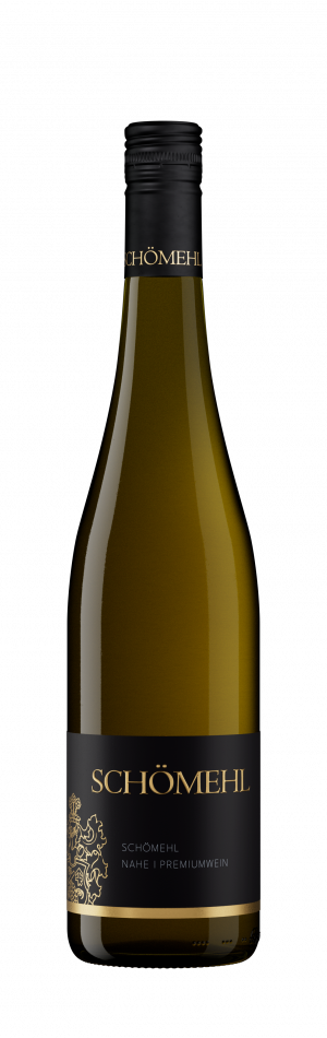 Weingut Axel Bauer Pinot Noir Gutswein 