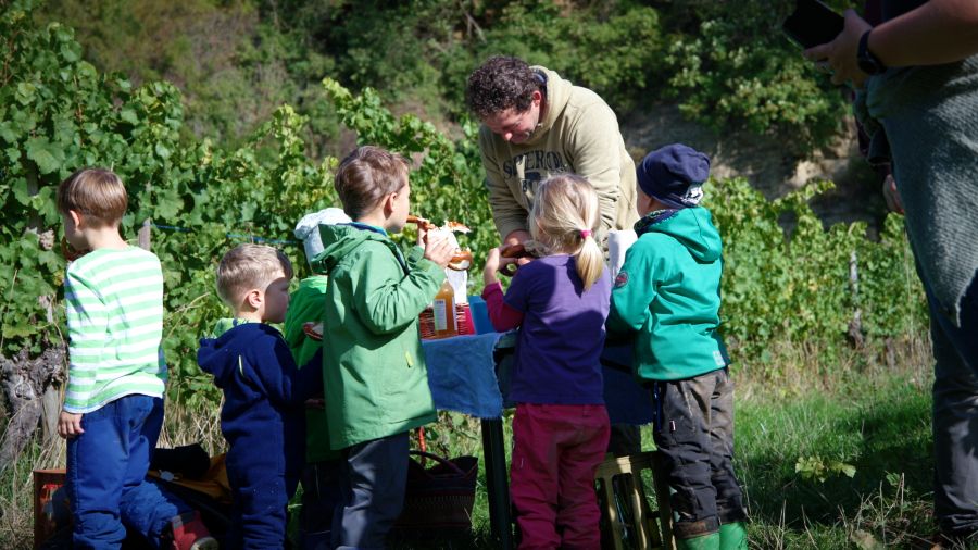 Weingut Weinreuter Ernte mit Kindern