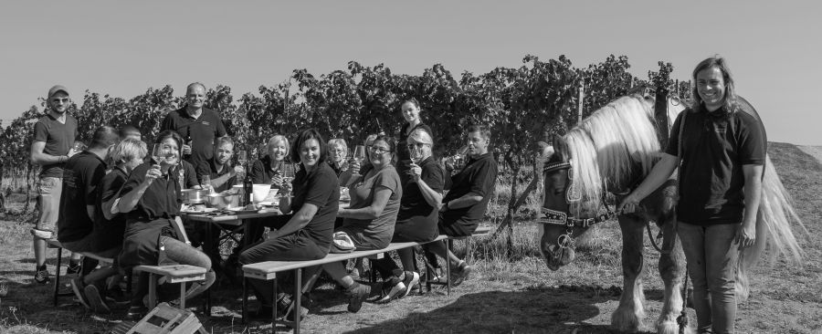 Weingut Gehrig Leseteam