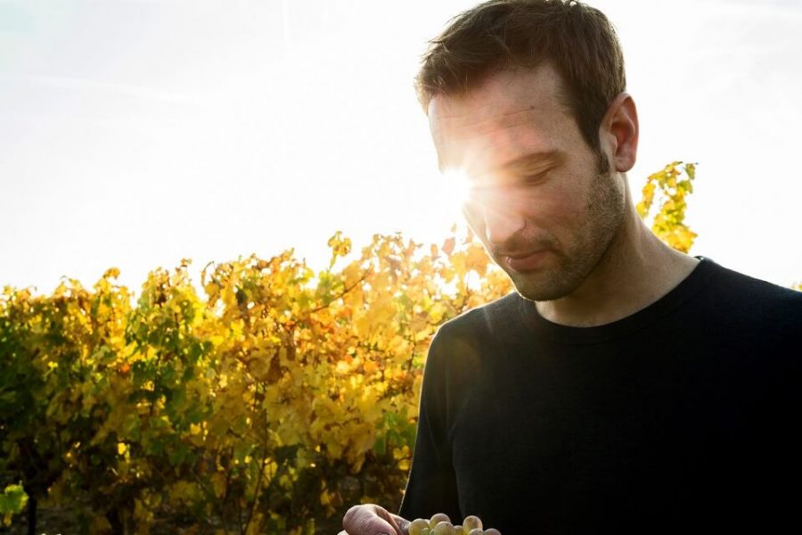 Weingut Lohr Frank Lohr vor Reben im Sonnenlicht